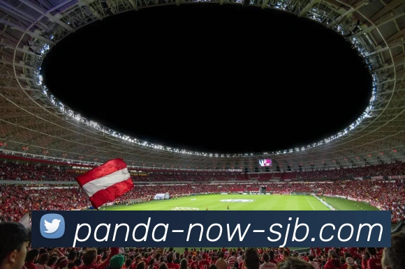 奖项证书